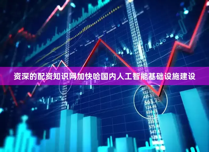 资深的配资知识网加快哈国内人工智能基础设施建设
