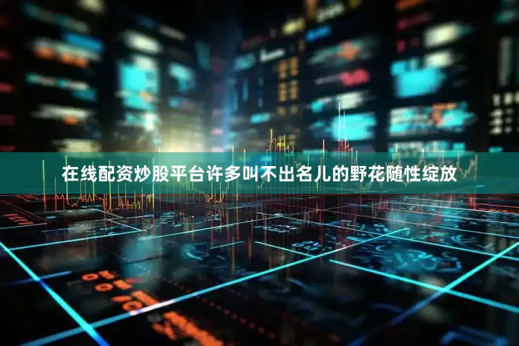 在线配资炒股平台许多叫不出名儿的野花随性绽放