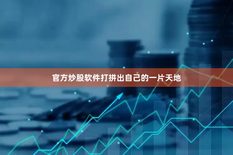 官方炒股软件打拼出自己的一片天地